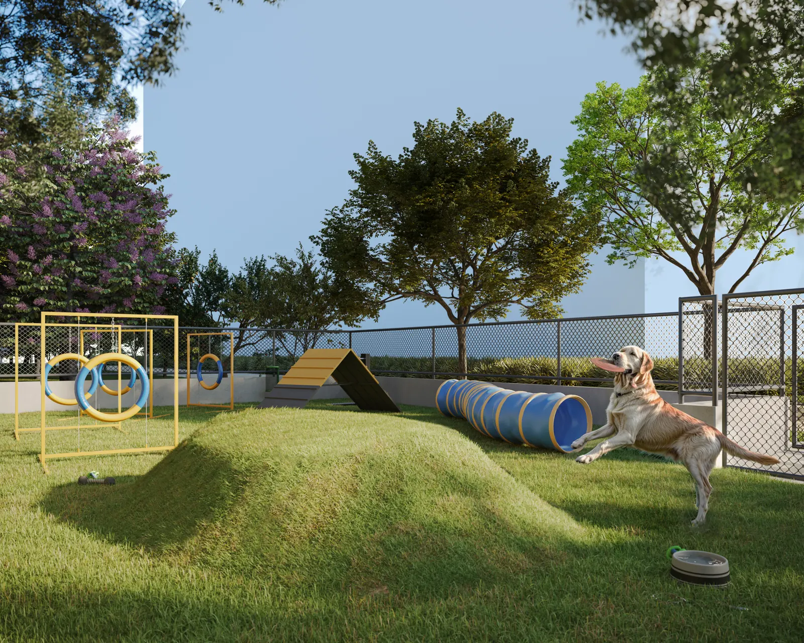 Pet Place com circuito de obstáculos e um cachorro brincando