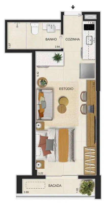 Planta: studio