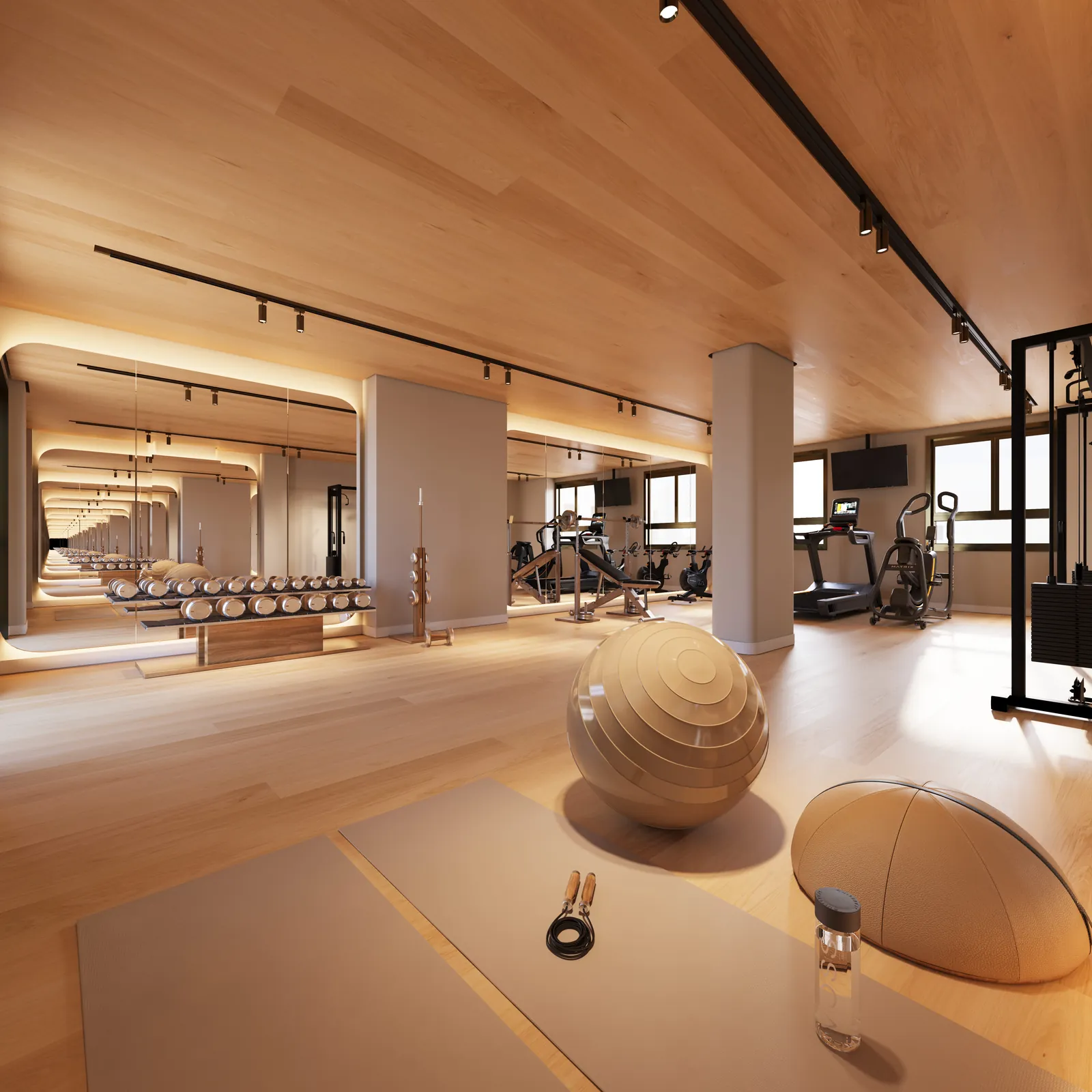 Academia com bola de pilates e aparelhos