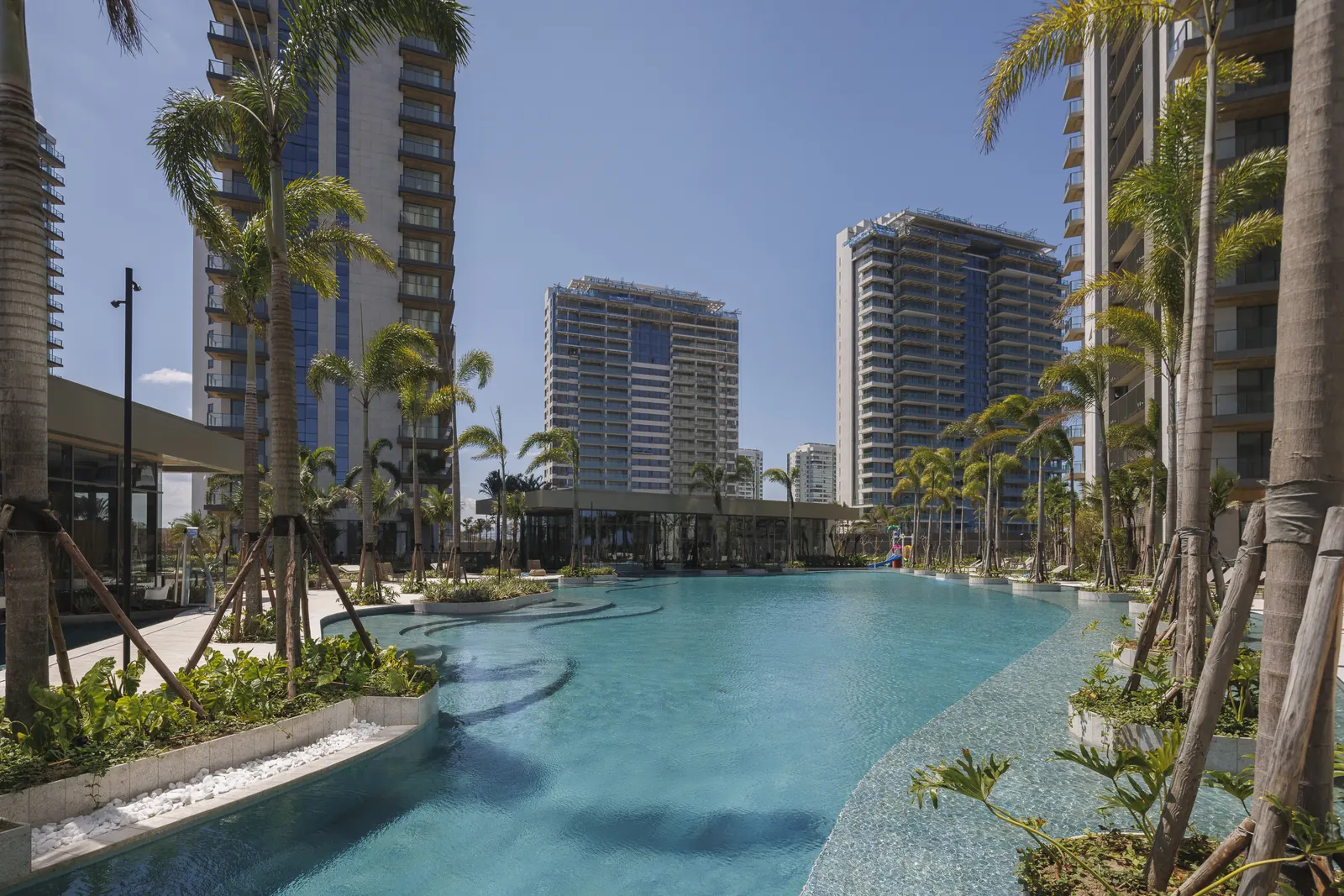 Foto real da piscina adulto entre coqueiros, com as torres do Oceana ao fundo